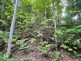 Lot 51 Yellowwood Dr - Photo 2