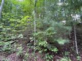 Lot 51 Yellowwood Dr - Photo 3