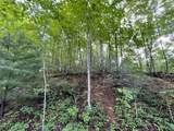 Lot 51 Yellowwood Dr - Photo 4