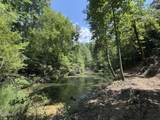 Lot 71 Happy Hollow Lane Lane - Photo 5