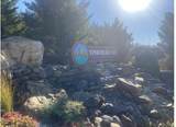 Lot 65 Sanctuary Shores Way - Photo 6