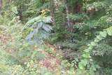 Lot 53 Hid View St - Photo 4