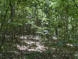 6.8 Acres Friendship South Road - Photo 10