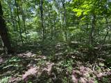 6.8 Acres Friendship South Road - Photo 12
