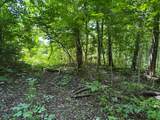 6.8 Acres Friendship South Road - Photo 4