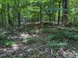6.8 Acres Friendship South Road - Photo 6
