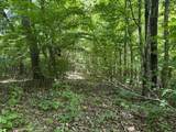 6.8 Acres Friendship South Road - Photo 9