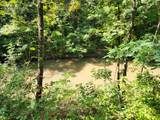 Tracts 123 Mcmahan Road - Photo 11