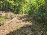 Tracts 123 Mcmahan Road - Photo 8