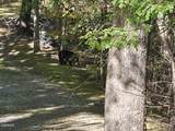 Lot 7-AR Village Circle - Photo 17