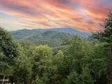 1642 Little Cove Rd Road - Photo 4