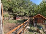 1642 Little Cove Rd Road - Photo 97