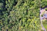 Lot 81 Whetstone Road - Photo 8
