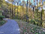 1020 Big Buck Trail - Photo 10