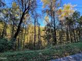 1020 Big Buck Trail - Photo 11