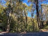 1020 Big Buck Trail - Photo 14