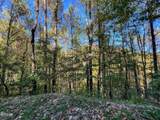 1020 Big Buck Trail - Photo 15