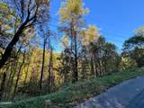 1020 Big Buck Trail - Photo 17