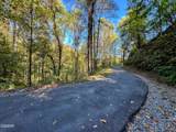 1020 Big Buck Trail - Photo 18