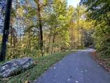 1020 Big Buck Trail - Photo 19