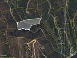 1020 Big Buck Trail - Photo 20
