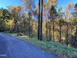 1020 Big Buck Trail - Photo 6