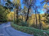 1020 Big Buck Trail - Photo 9