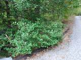 2017 Ridgecrest Loop Lane - Photo 7