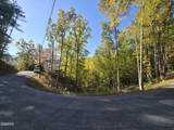 Lot 6 Scenic Trail - Photo 7