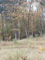 1165 Highway 25-70 - Photo 9
