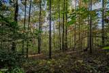1409&1405 Timber Trail - Photo 15