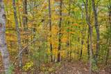 Lot 11 Cove Creek Way - Photo 18