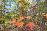 Lot 11 Cove Creek Way - Photo 20