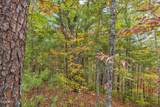 Lot 11 Cove Creek Way - Photo 22