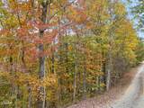 Lot 11 Cove Creek Way - Photo 8