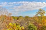 536 Red Cedar Ridge Road - Photo 4