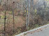 Lot 6 Pulaski Lane - Photo 1