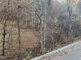 Lot 6 Pulaski Lane - Photo 2