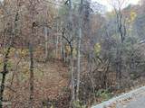 Lot 6 Pulaski Lane - Photo 3