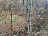 Lot 6 Pulaski Lane - Photo 4
