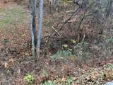 Lot 6 Pulaski Lane - Photo 8