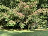 Lots 1,2,3 Timber Grove Road - Photo 29