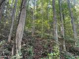 lot 62 Old Smoky High Top Road - Photo 4