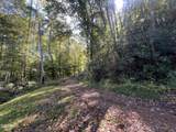 lot 62 Old Smoky High Top Road - Photo 5