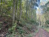 lot 61 Old Smoky High Top Road - Photo 3