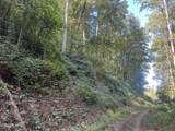 lot 61 Old Smoky High Top Road - Photo 7