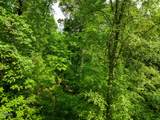 Lot 123 Long Rifle Road - Photo 8