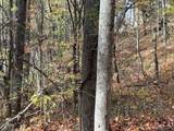 1710 Orchard Dr - Photo 4