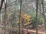 Lot 1 Big Buck Trail - Photo 8