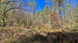 8 LOTS Grassy Branch Loop - Photo 15
